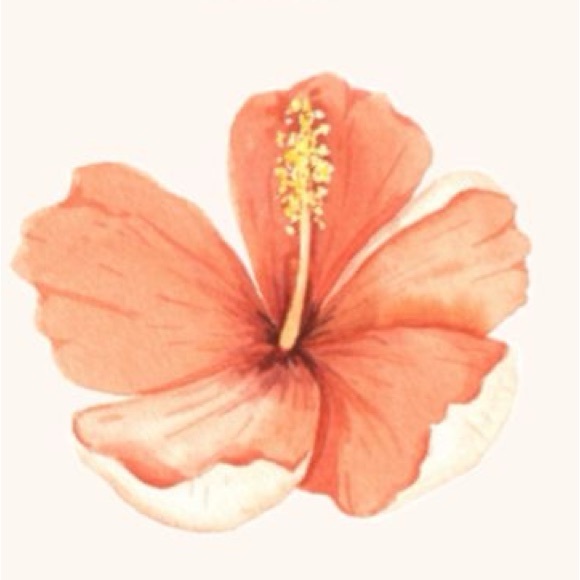 liebermanlia